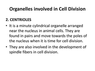 Organelles involved in Cell Division
2. CENTRIOLES
• It is a minute cylindrical organelle arranged
near the nucleus in animal cells. They are
found in pairs and move towards the poles of
the nucleus when it is time for cell division.
• They are also involved in the development of
spindle fibers in cell division.
 