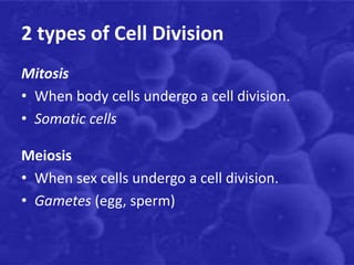 2 types of Cell Division
Mitosis
• When body cells undergo a cell division.
• Somatic cells
Meiosis
• When sex cells undergo a cell division.
• Gametes (egg, sperm)
 