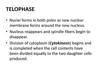TELOPHASE
• Nuclei forms in both poles as new nuclear
membrane forms around the new nucleus.
• Nucleus reappears and spindle fibers begin to
disappear.
• Division of cytoplasm (Cytokinesis) begins and
is completed when the cell contents have
been divided equally to the two daughter cells
produced.
 