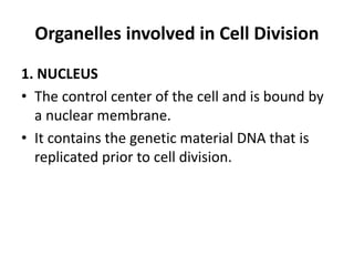 Organelles involved in Cell Division
1. NUCLEUS
• The control center of the cell and is bound by
a nuclear membrane.
• It contains the genetic material DNA that is
replicated prior to cell division.
 