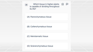 Cell division - 2.pdf
