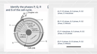 Cell division - 2.pdf