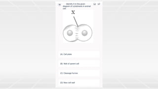 Cell division - 2.pdf