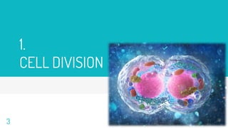cell-division-pptx