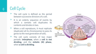 Cell Division.pptx