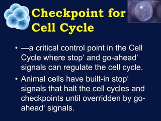 Cell Division.pptx