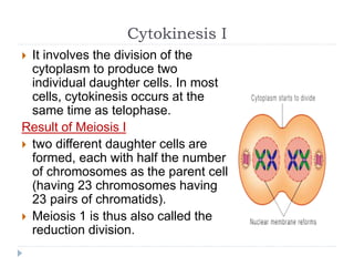 Cytokinesis I
 It involves the division of the
cytoplasm to produce two
individual daughter cells. In most
cells, cytokinesis occurs at the
same time as telophase.
Result of Meiosis I
 two different daughter cells are
formed, each with half the number
of chromosomes as the parent cell
(having 23 chromosomes having
23 pairs of chromatids).
 Meiosis 1 is thus also called the
reduction division.
 