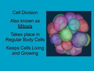 Cell Division
Also known as
Mitosis
Takes place in
Regular Body Cells
Keeps Cells Living
and Growing
 