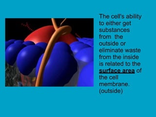 The cell's ability
to either get
substances
from the
outside or
eliminate waste
from the inside
is related to the
surface area of
the cell
membrane.
(outside)
 