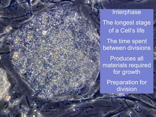 Interphase
The longest stage
of a Cell’s life
The time spent
between divisions
Produces all
materials required
for growth
Preparation for
division
 