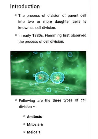 cell division.pdf
