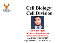 Cell Biology:
Cell Division
Dr. Amit Joshi
HOD & Assistant Professor
Biochemistry Department
KALINGA UNIVERSITY
Naya Raipur, CG, INDIA-492101
 
