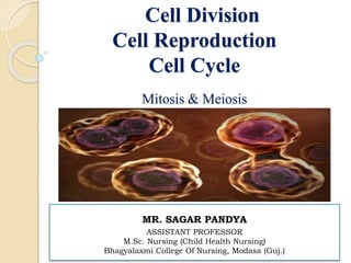 Cell Division
Cell Reproduction
Cell Cycle
Mitosis & Meiosis
MR. SAGAR PANDYA
ASSISTANT PROFESSOR
M.Sc. Nursing (Child Health Nursing)
Bhagyalaxmi College Of Nursing, Modasa (Guj.)
 