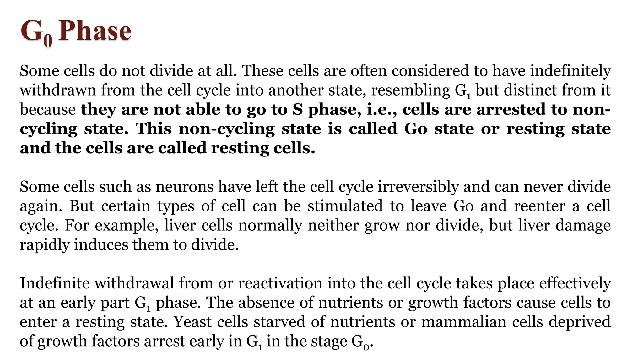 G0 Phase
Some cells do not divide at all. These cells are often considered to have indefinitely
withdrawn from the cell cycle into another state, resembling G1 but distinct from it
because they are not able to go to S phase, i.e., cells are arrested to non-
cycling state. This non-cycling state is called Go state or resting state
and the cells are called resting cells.
Some cells such as neurons have left the cell cycle irreversibly and can never divide
again. But certain types of cell can be stimulated to leave Go and reenter a cell
cycle. For example, liver cells normally neither grow nor divide, but liver damage
rapidly induces them to divide.
Indefinite withdrawal from or reactivation into the cell cycle takes place effectively
at an early part G1 phase. The absence of nutrients or growth factors cause cells to
enter a resting state. Yeast cells starved of nutrients or mammalian cells deprived
of growth factors arrest early in G1 in the stage G0.
 