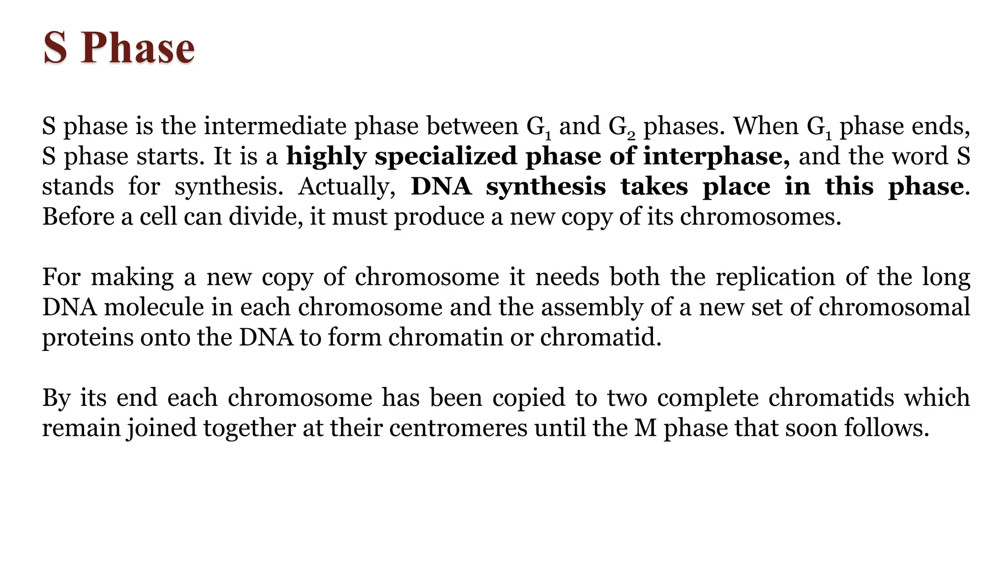 S Phase
S phase is the intermediate phase between G1 and G2 phases. When G1 phase ends,
S phase starts. It is a highly specialized phase of interphase, and the word S
stands for synthesis. Actually, DNA synthesis takes place in this phase.
Before a cell can divide, it must produce a new copy of its chromosomes.
For making a new copy of chromosome it needs both the replication of the long
DNA molecule in each chromosome and the assembly of a new set of chromosomal
proteins onto the DNA to form chromatin or chromatid.
By its end each chromosome has been copied to two complete chromatids which
remain joined together at their centromeres until the M phase that soon follows.
 