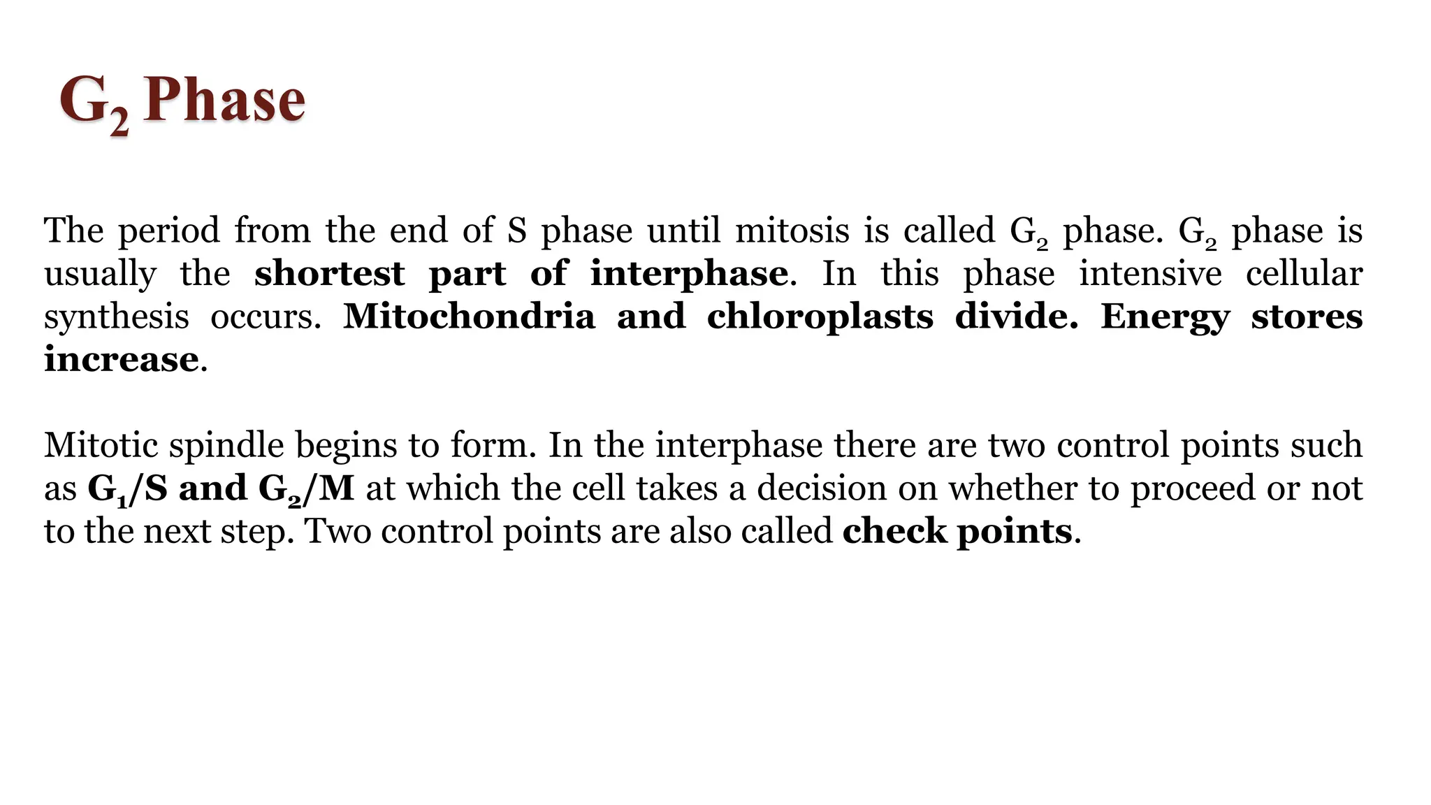 G2 Phase
The period from the end of S phase until mitosis is called G2 phase. G2 phase is
usually the shortest part of interphase. In this phase intensive cellular
synthesis occurs. Mitochondria and chloroplasts divide. Energy stores
increase.
Mitotic spindle begins to form. In the interphase there are two control points such
as G1/S and G2/M at which the cell takes a decision on whether to proceed or not
to the next step. Two control points are also called check points.
 