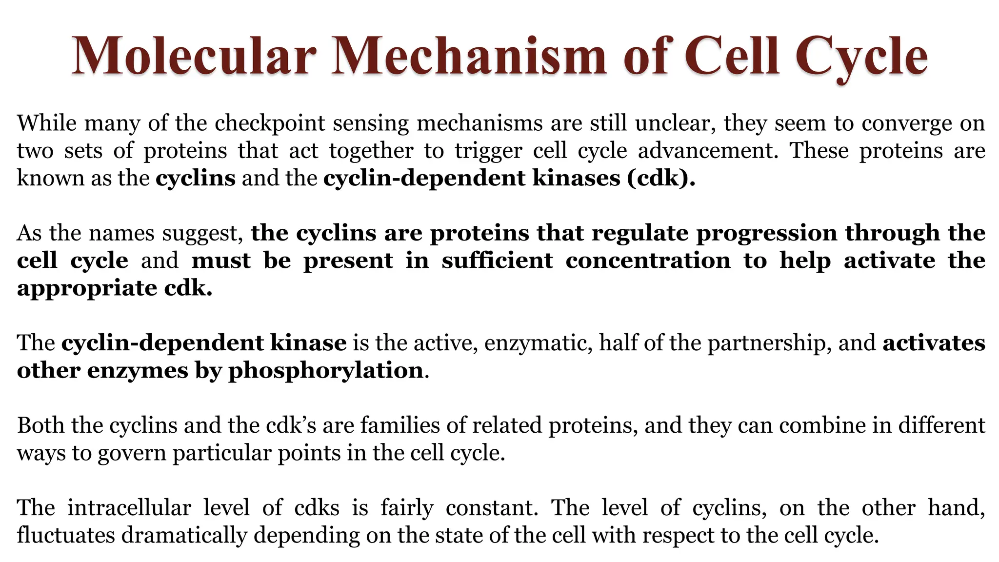 Molecular Mechanism of Cell Cycle
While many of the checkpoint sensing mechanisms are still unclear, they seem to converge on
two sets of proteins that act together to trigger cell cycle advancement. These proteins are
known as the cyclins and the cyclin-dependent kinases (cdk).
As the names suggest, the cyclins are proteins that regulate progression through the
cell cycle and must be present in sufficient concentration to help activate the
appropriate cdk.
The cyclin-dependent kinase is the active, enzymatic, half of the partnership, and activates
other enzymes by phosphorylation.
Both the cyclins and the cdk’s are families of related proteins, and they can combine in different
ways to govern particular points in the cell cycle.
The intracellular level of cdks is fairly constant. The level of cyclins, on the other hand,
fluctuates dramatically depending on the state of the cell with respect to the cell cycle.
 