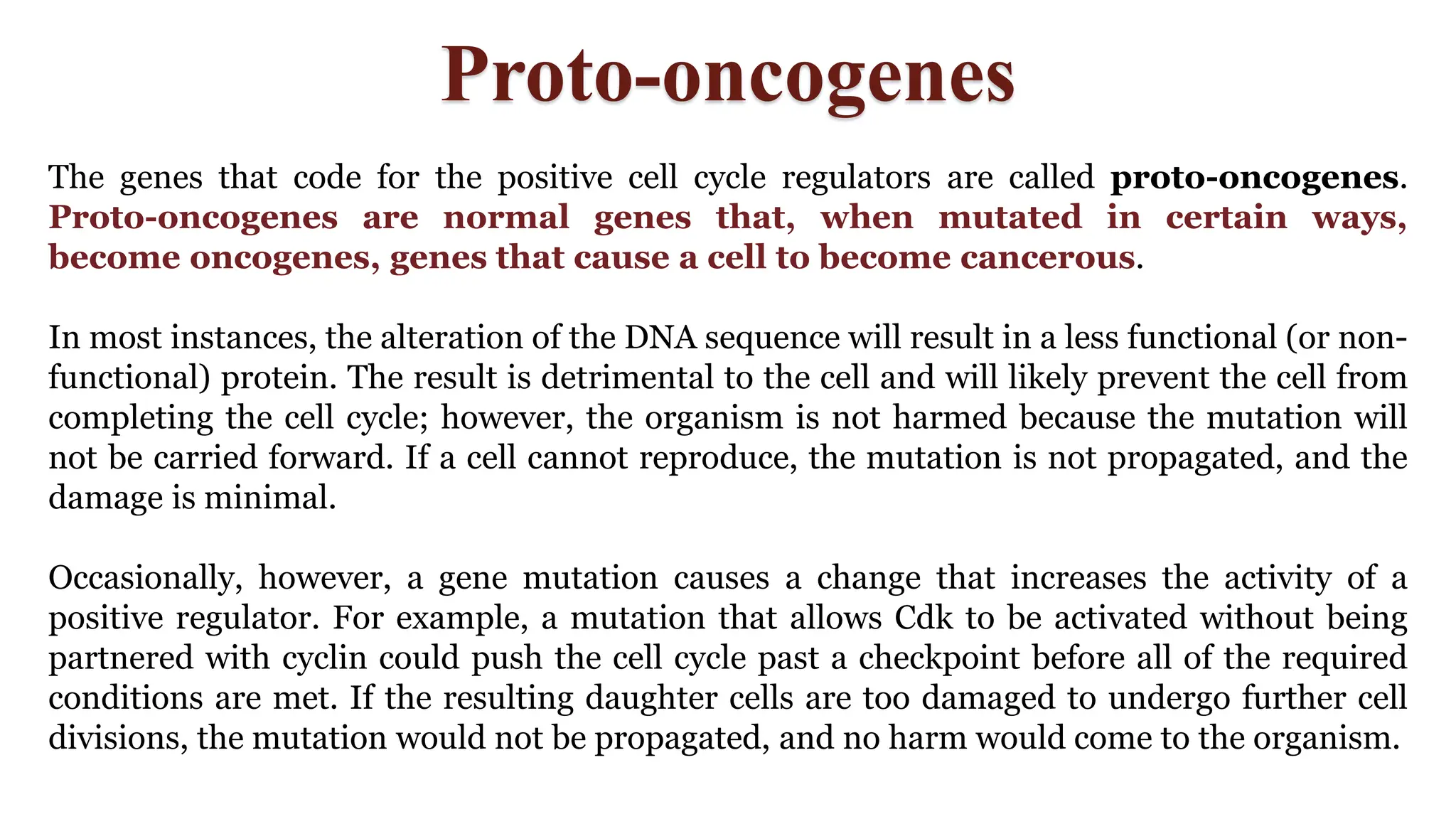 Proto-oncogenes
The genes that code for the positive cell cycle regulators are called proto-oncogenes.
Proto-oncogenes are normal genes that, when mutated in certain ways,
become oncogenes, genes that cause a cell to become cancerous.
In most instances, the alteration of the DNA sequence will result in a less functional (or non-
functional) protein. The result is detrimental to the cell and will likely prevent the cell from
completing the cell cycle; however, the organism is not harmed because the mutation will
not be carried forward. If a cell cannot reproduce, the mutation is not propagated, and the
damage is minimal.
Occasionally, however, a gene mutation causes a change that increases the activity of a
positive regulator. For example, a mutation that allows Cdk to be activated without being
partnered with cyclin could push the cell cycle past a checkpoint before all of the required
conditions are met. If the resulting daughter cells are too damaged to undergo further cell
divisions, the mutation would not be propagated, and no harm would come to the organism.
 