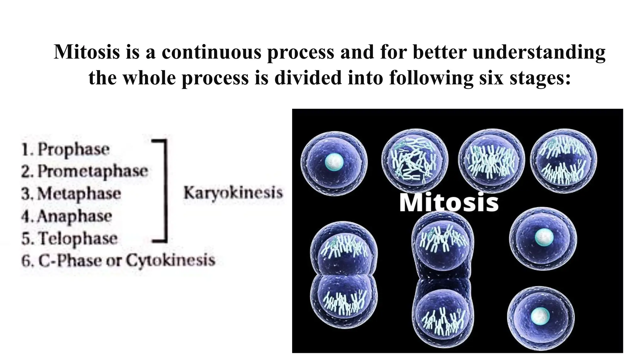 Mitosis is a continuous process and for better understanding
the whole process is divided into following six stages:
 