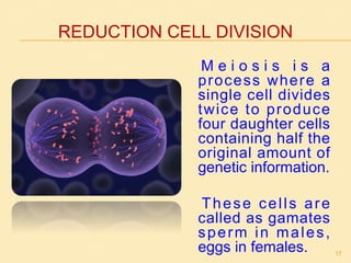 REDUCTION CELL DIVISION
M e i o s i s i s a
process where a
single cell divides
twice to produce
four daughter cells
containing half the
original amount of
genetic information.
These cells are
called as gamates
sperm in males,
eggs in females. 17
 