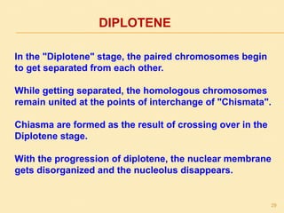 DIPLOTENE
In the "Diplotene" stage, the paired chromosomes begin
to get separated from each other.
While getting separated, the homologous chromosomes
remain united at the points of interchange of "Chismata".
Chiasma are formed as the result of crossing over in the
Diplotene stage.
With the progression of diplotene, the nuclear membrane
gets disorganized and the nucleolus disappears.
29
 