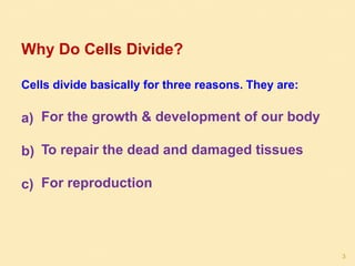 Why Do Cells Divide?
Cells divide basically for three reasons. They are:
a) For the growth & development of our body
b) To repair the dead and damaged tissues
c) For reproduction
3
 