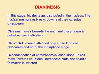 In this stage, bivalents get distributed in the nucleus. The
nuclear membrane breaks down and the nucleolus
disappears.
Chiasma moves towards the end, and this process is
called as terminalization.
Chromatids remain attached only at the terminal
chiasmata and enter the metaphase stage.
Recondensation of chromosomes takes place. Tetrad
move towards equatorial metaphase plate and spindle
formation is initiated.
DIAKINESIS
31
 