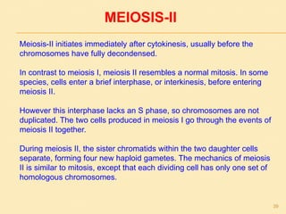 MEIOSIS-II
Meiosis-II initiates immediately after cytokinesis, usually before the
chromosomes have fully decondensed.
In contrast to meiosis I, meiosis II resembles a normal mitosis. In some
species, cells enter a brief interphase, or interkinesis, before entering
meiosis II.
However this interphase lacks an S phase, so chromosomes are not
duplicated. The two cells produced in meiosis I go through the events of
meiosis II together.
During meiosis II, the sister chromatids within the two daughter cells
separate, forming four new haploid gametes. The mechanics of meiosis
II is similar to mitosis, except that each dividing cell has only one set of
homologous chromosomes.
39
 