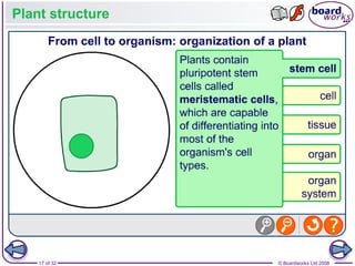 Comprehensive Overview of the Cell Cycle, Mitosis, and Meiosis ...
