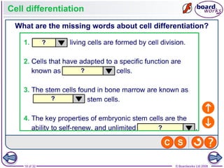 Comprehensive Overview of the Cell Cycle, Mitosis, and Meiosis ...