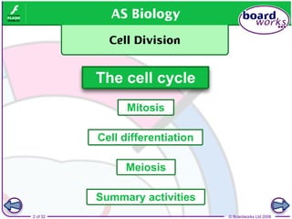 Comprehensive Overview of the Cell Cycle, Mitosis, and Meiosis ...