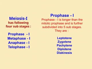 Meiosis-I
has following
four sub stages :
Prophase - I
Metaphase - I
Anaphase - I
Telophase - I
Prophase - I
Prophase - I is longer than the
mitotic prophase and is further
subdivided into 5 sub stages.
They are :
Leptotene
Zygotene
Pachytene
Diplotene
Diakinesis
 