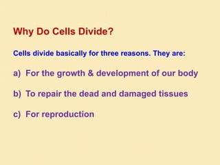Why Do Cells Divide?
Cells divide basically for three reasons. They are:
a) For the growth & development of our body
b) To repair the dead and damaged tissues
c) For reproduction
 