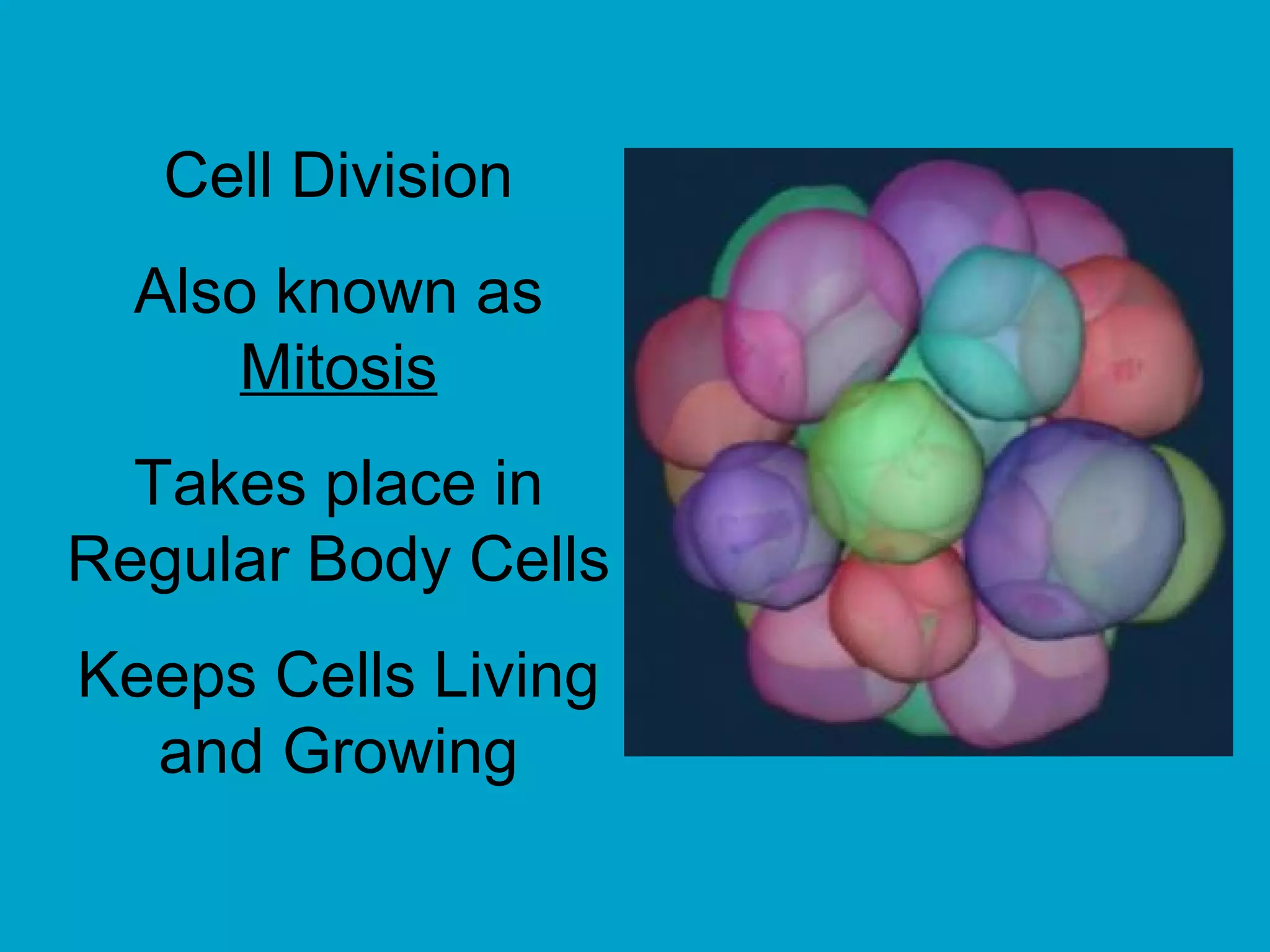 Cell Division
  Also known as
     Mitosis
  Takes place in
Regular Body Cells
Keeps Cells Living
  and Growing
 