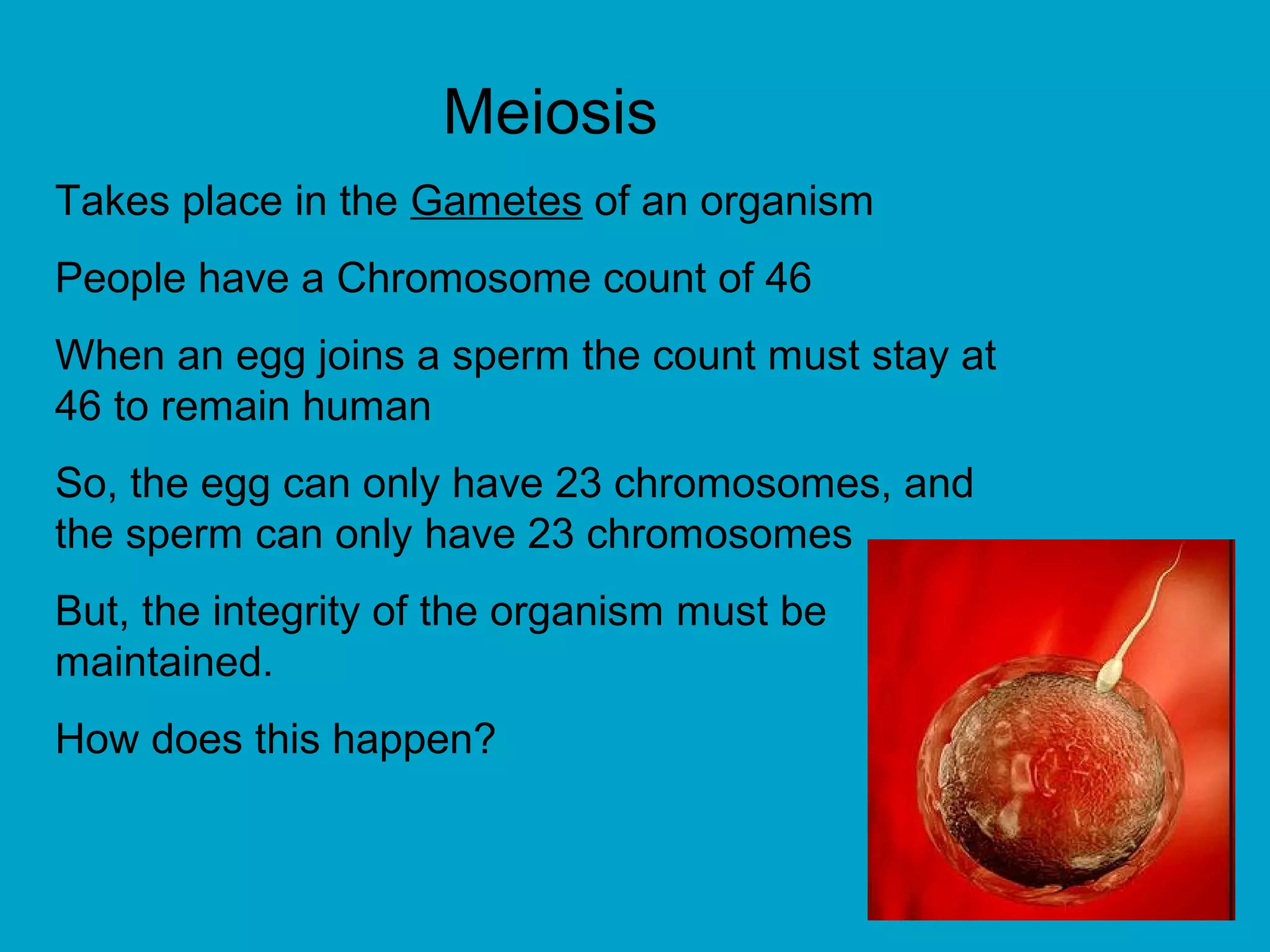 Meiosis
Takes place in the Gametes of an organism
People have a Chromosome count of 46
When an egg joins a sperm the count must stay at
46 to remain human
So, the egg can only have 23 chromosomes, and
the sperm can only have 23 chromosomes
But, the integrity of the organism must be
maintained.
How does this happen?
 