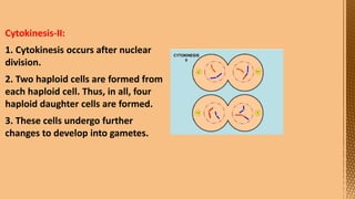 Cell Division--- Meiosis---Tarini..pptx