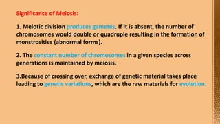 Cell Division--- Meiosis---Tarini..pptx