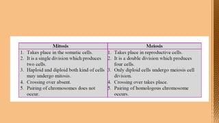 Cell Division--- Meiosis---Tarini..pptx