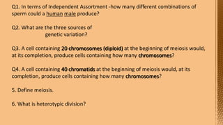 Cell Division--- Meiosis---Tarini..pptx