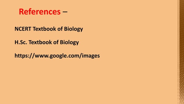 Cell Division--- Meiosis---Tarini..pptx