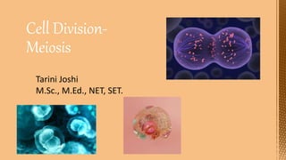 Cell Division-
Meiosis
Tarini Joshi
M.Sc., M.Ed., NET, SET.
 