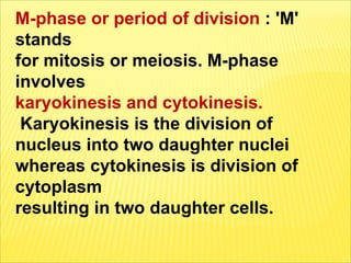 M Phase Process Cell division ---Mitosis | PDF