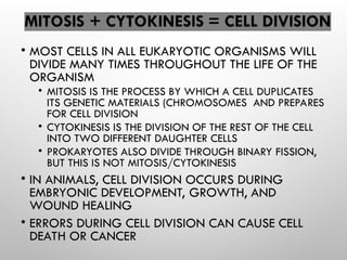 • MOST CELLS IN ALL EUKARYOTIC ORGANISMS WILL
DIVIDE MANY TIMES THROUGHOUT THE LIFE OF THE
ORGANISM
• MITOSIS IS THE PROCESS BY WHICH A CELL DUPLICATES
ITS GENETIC MATERIALS (CHROMOSOMES AND PREPARES
FOR CELL DIVISION
• CYTOKINESIS IS THE DIVISION OF THE REST OF THE CELL
INTO TWO DIFFERENT DAUGHTER CELLS
• PROKARYOTES ALSO DIVIDE THROUGH BINARY FISSION,
BUT THIS IS NOT MITOSIS/CYTOKINESIS
• IN ANIMALS, CELL DIVISION OCCURS DURING
EMBRYONIC DEVELOPMENT, GROWTH, AND
WOUND HEALING
• ERRORS DURING CELL DIVISION CAN CAUSE CELL
DEATH OR CANCER
 