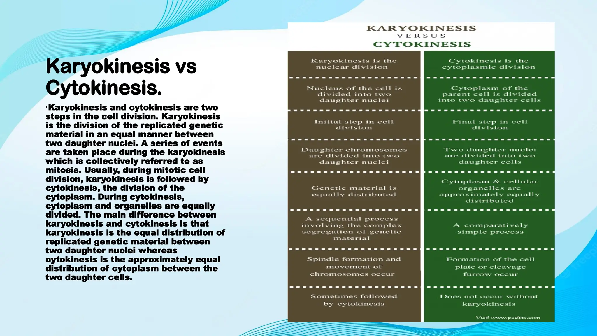 Karyokinesis vs
Cytokinesis.
•Karyokinesis and cytokinesis are two
steps in the cell division. Karyokinesis
is the division of the replicated genetic
material in an equal manner between
two daughter nuclei. A series of events
are taken place during the karyokinesis
which is collectively referred to as
mitosis. Usually, during mitotic cell
division, karyokinesis is followed by
cytokinesis, the division of the
cytoplasm. During cytokinesis,
cytoplasm and organelles are equally
divided. The main difference between
karyokinesis and cytokinesis is that
karyokinesis is the equal distribution of
replicated genetic material between
two daughter nuclei whereas
cytokinesis is the approximately equal
distribution of cytoplasm between the
two daughter cells.
 