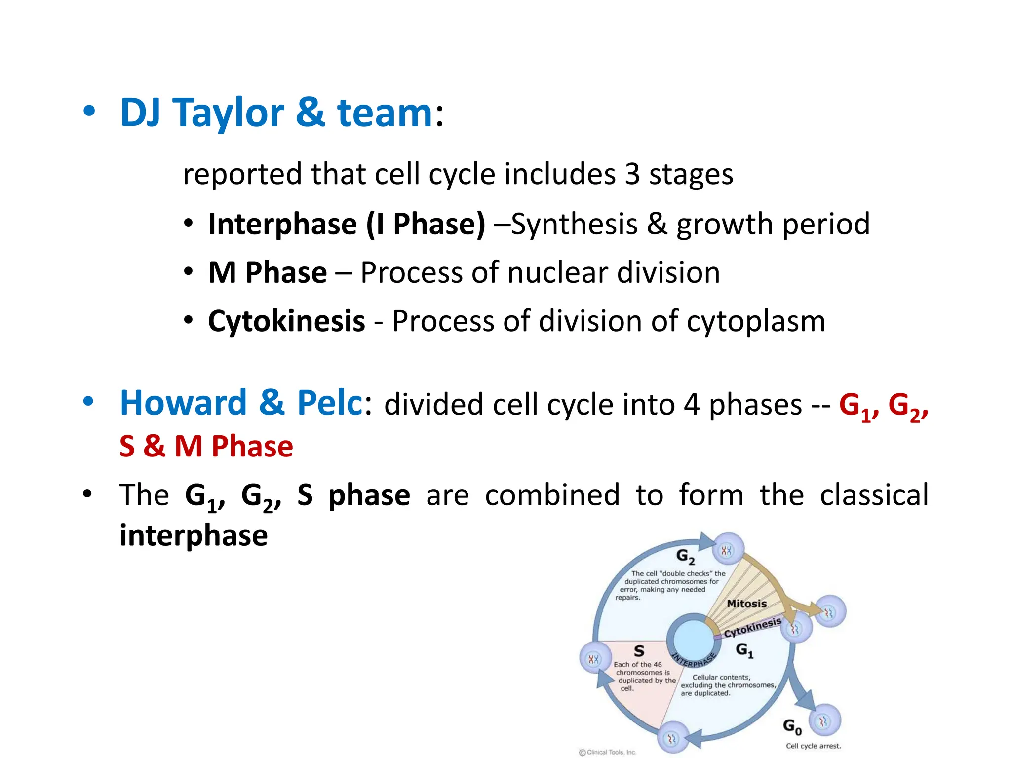 M Phase Process cell division - Mitosis in plants final.ppt