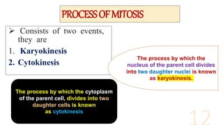 PROCESSOFMITOSIS
 Consists of two events,
they are
1. Karyokinesis
2. Cytokinesis
The process by which the
nucleus of the parent cell divides
into two daughter nuclei is known
as karyokinesis.
The process by which the cytoplasm
of the parent cell, divides into two
daughter cells is known
as cytokinesis
 