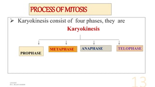 PROCESSOFMITOSIS
 Karyokinesis consist of four phases, they are
Karyokinesis
PROPHASE
METAPHASE ANAPHASE TELOPHASE
 
