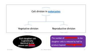 Cell division in eukaryotes
Vegetative division Reproductive division
Each daughter cell
is genetically
identical to the
parent cell mitosis.
The number of chromosomes in the
daughter cells is reduced by half to
produce haploid gametes - meiosis
25-01-2024 Dr. C. Beulah Jayarani 4
 