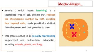 Meiotic division…
 Meiosis ( which means lessening) is a
specialized type of cell division that reduces
the chromosome number by half, creating
four haploid cells, each genetically distinct
from the parent cell that gave rise to them.
 This process occurs in all sexually reproducing
single-celled and multicellular eukaryotes,
including animals, plants, and fungi.
25-01-2024 Dr. C. Beulah Jayarani
6
 