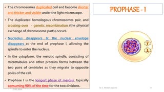 • The chromosomes duplicated coil and become shorter
and thicker and visible under the light microscope.
• The duplicated homologous chromosomes pair, and
crossing-over - genetic recombination (the physical
exchange of chromosome parts) occurs.
• Nucleolus disappears & the nuclear envelope
disappears at the end of prophase I, allowing the
spindle to enter the nucleus.
• In the cytoplasm, the meiotic spindle, consisting of
microtubules and other proteins forms between the
two pairs of centrioles as they migrate to opposite
poles of the cell.
• Prophase I is the longest phase of meiosis, typically
consuming 90% of the time for the two divisions.
PROPHASE - I
25-01-2024
Dr. C. Beulah Jayarani 8
 
